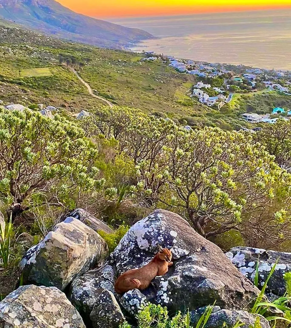 Atlanticview Cape Town Boutique Hotel
