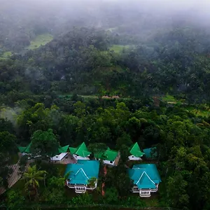 https://misty-lake-resort.kerala-hotels.net